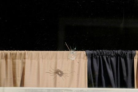 tagreuters.com2023binary_LYNXMPEJ3I0NV-VIEWIMAGE