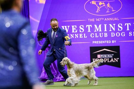 tagreuters.com2023binary_LYNXMPEJ4904Y-VIEWIMAGE