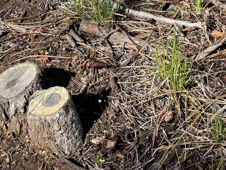 tagreuters.com2023binary_LYNXMPEJ4I0GJ-VIEWIMAGE