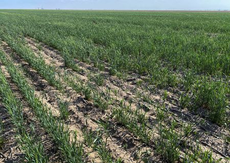 tagreuters.com2023binary_LYNXMPEJ4L0CN-VIEWIMAGE