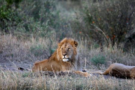 tagreuters.com2023binary_LYNXMPEJ5Q0CF-VIEWIMAGE