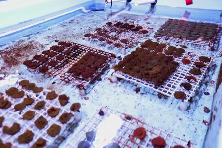 tagreuters.com2023binary_LYNXMPEJ6E05U-VIEWIMAGE