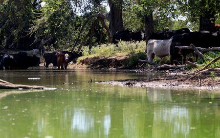 tagreuters.com2023binary_LYNXMPEJ790F8-VIEWIMAGE