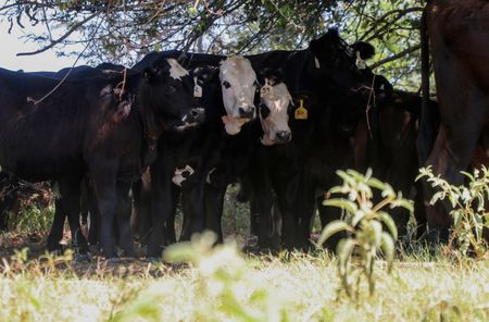 tagreuters.com2023binary_LYNXMPEJ790FA-VIEWIMAGE