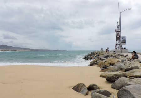 tagreuters.com2023binary_LYNXMPEJ7H0VL-VIEWIMAGE