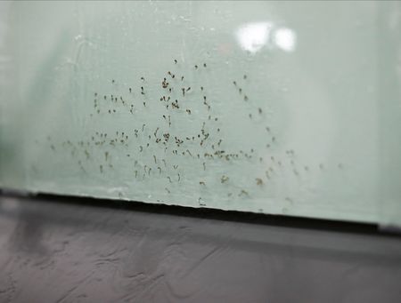 tagreuters.com2023binary_LYNXMPEJ3G0FE-VIEWIMAGE