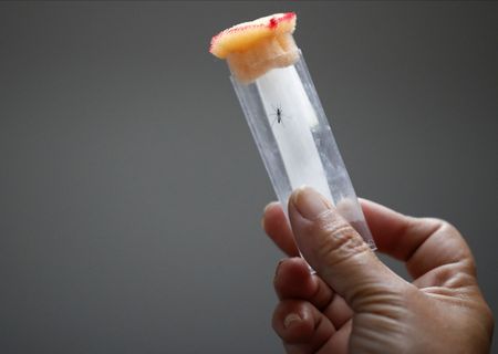 tagreuters.com2023binary_LYNXMPEJ3G0FI-VIEWIMAGE