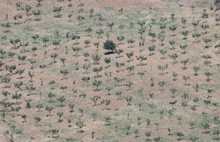 tagreuters.com2023binary_LYNXMPEJ4G03Z-VIEWIMAGE