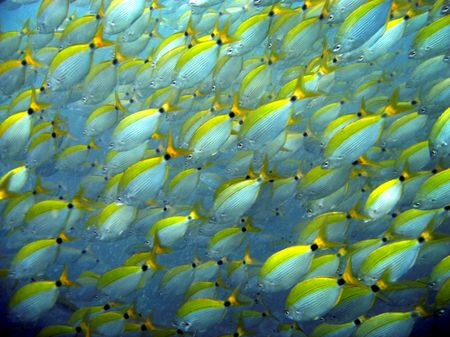 tagreuters.com2023binary_LYNXMPEJ5I0J7-VIEWIMAGE