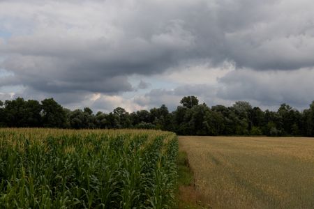 tagreuters.com2023binary_LYNXMPEJ6J0Z1-VIEWIMAGE