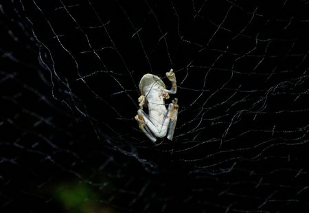 tagreuters.com2023binary_LYNXMPEJ7407C-VIEWIMAGE