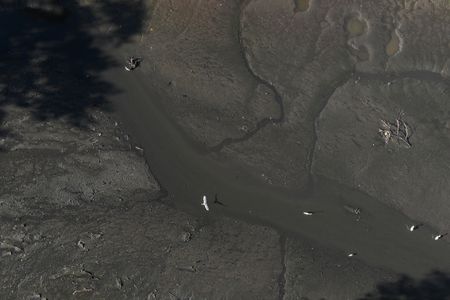 tagreuters.com2023binary_LYNXMPEJ7608Z-VIEWIMAGE